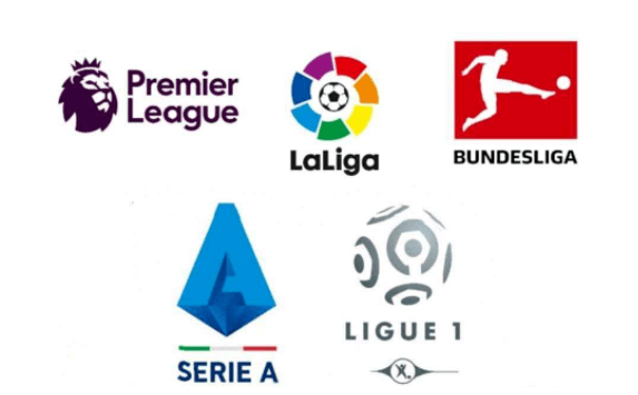 身体与心理 身体与心理